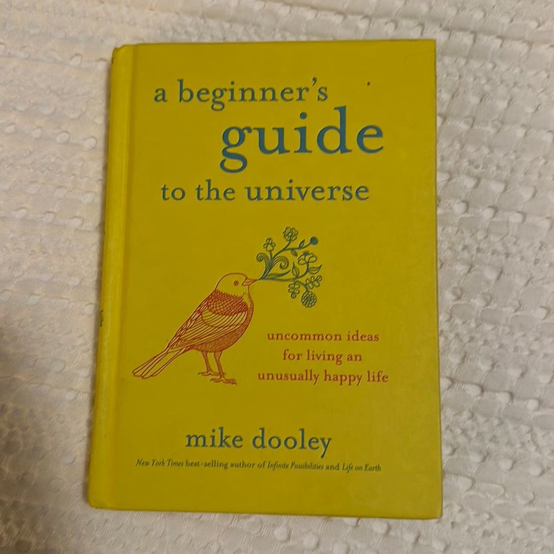 A Beginner's Guide to the Universe