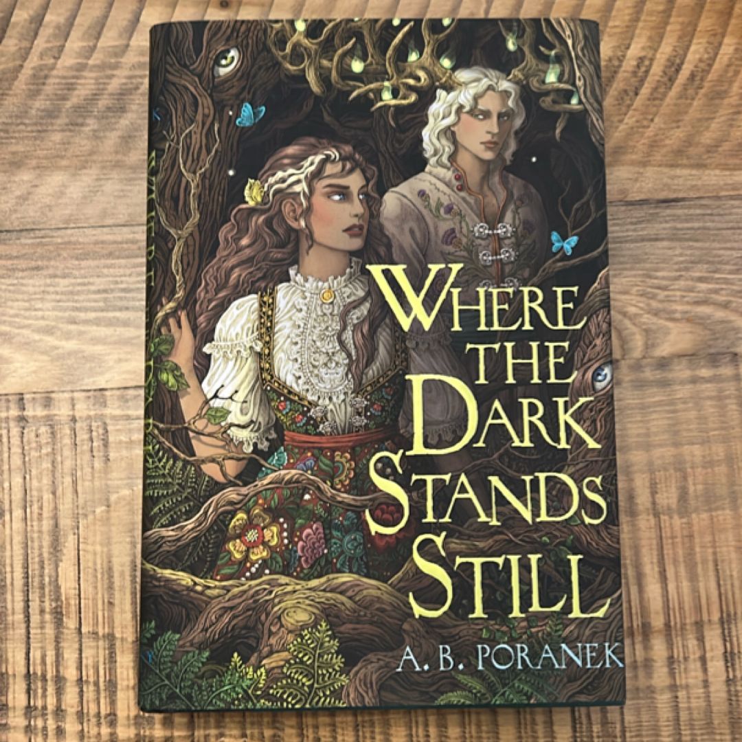 Where the Dark Stands Still