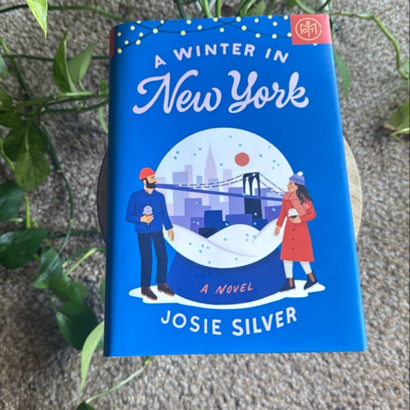 A Winter in New York