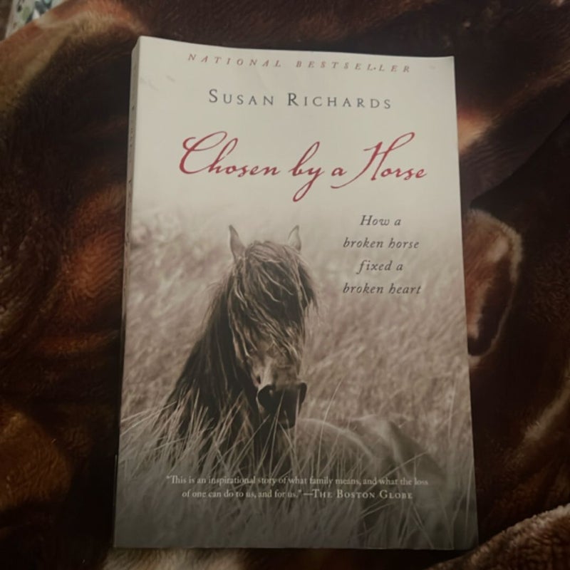 Chosen by a Horse