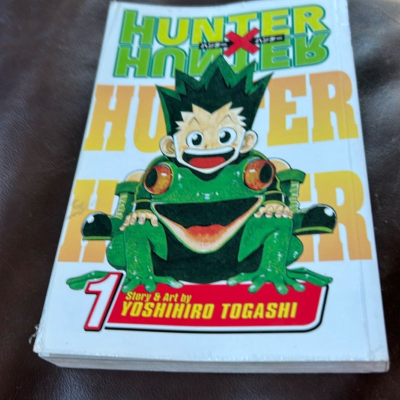 Hunter X Hunter, Vol. 1