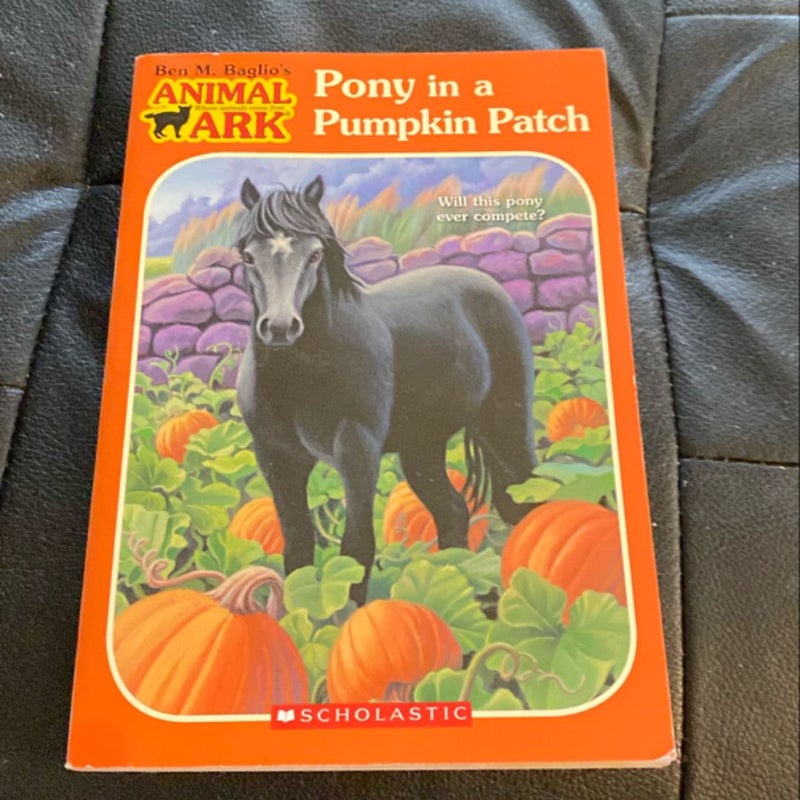 Pony in a Pumpkin Patch