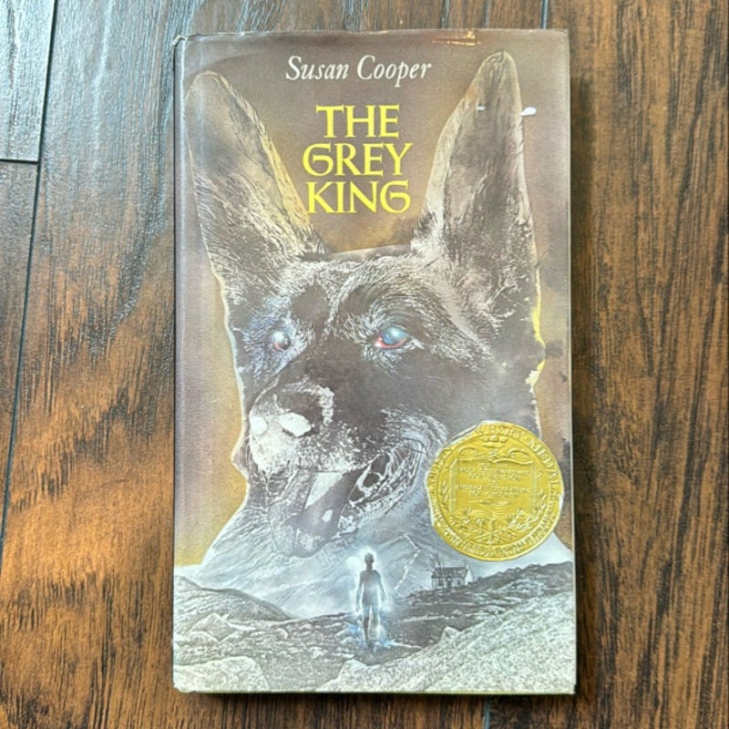 The Grey King