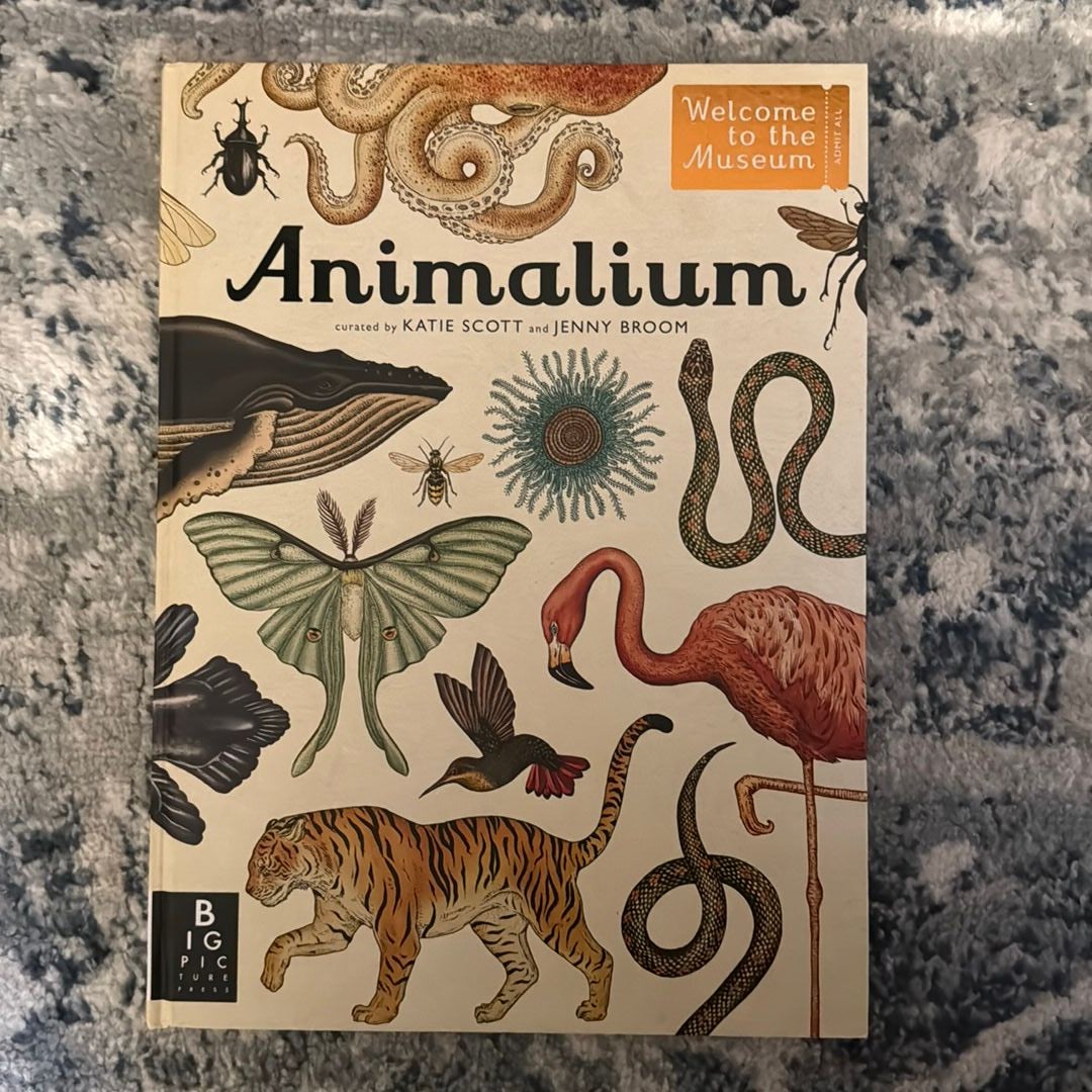 Animalium