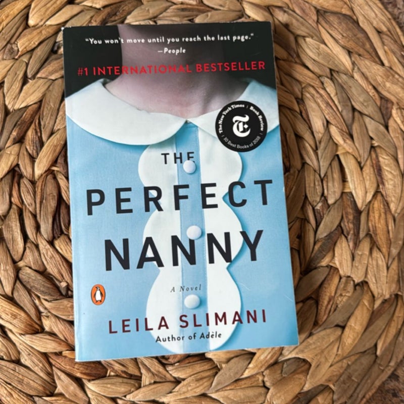 The Perfect Nanny