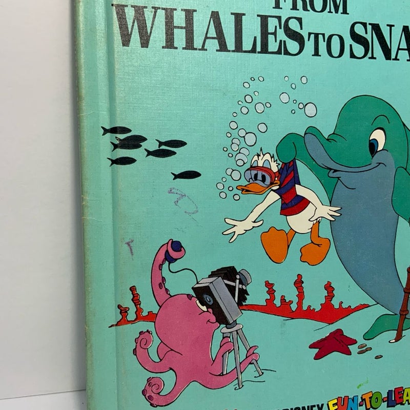 Walt Disney’s From Whales to Snails