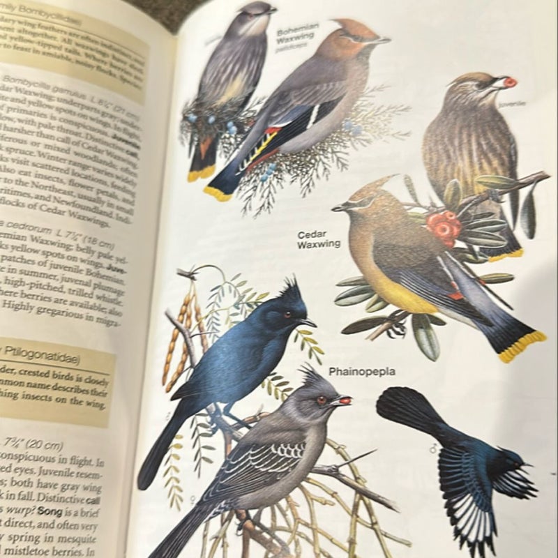 Bird Field Guide