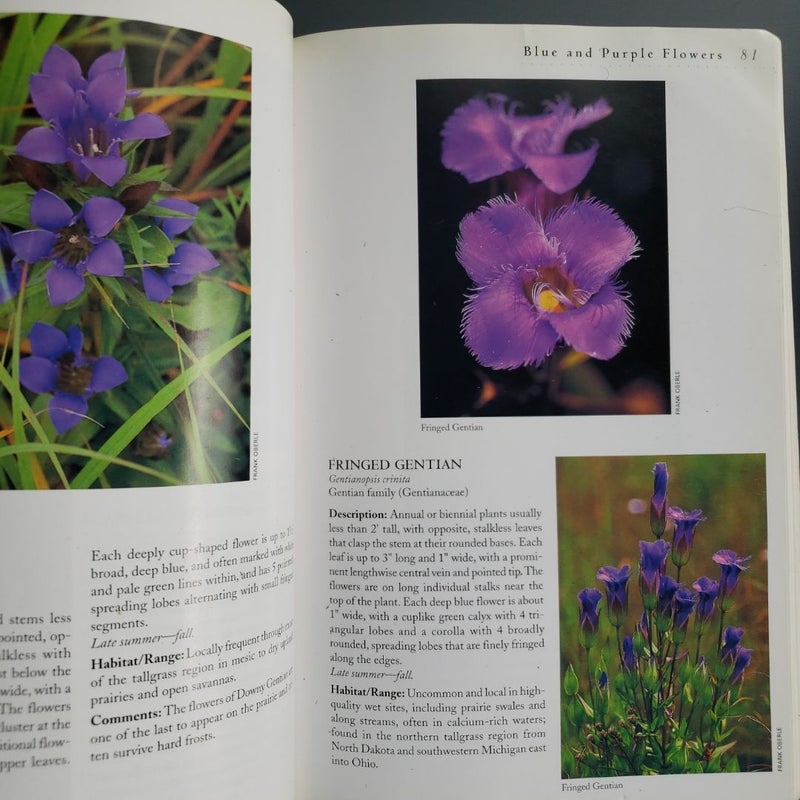 Tallgrass Prairie Wildflowers