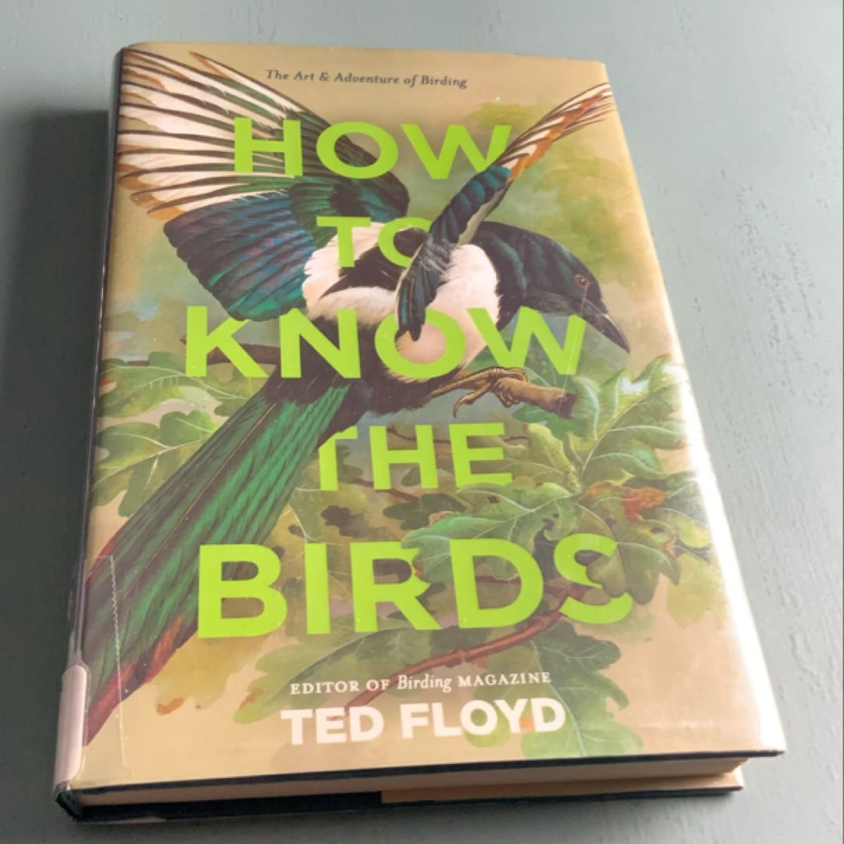 How to Know the Birds by Ted Floyd