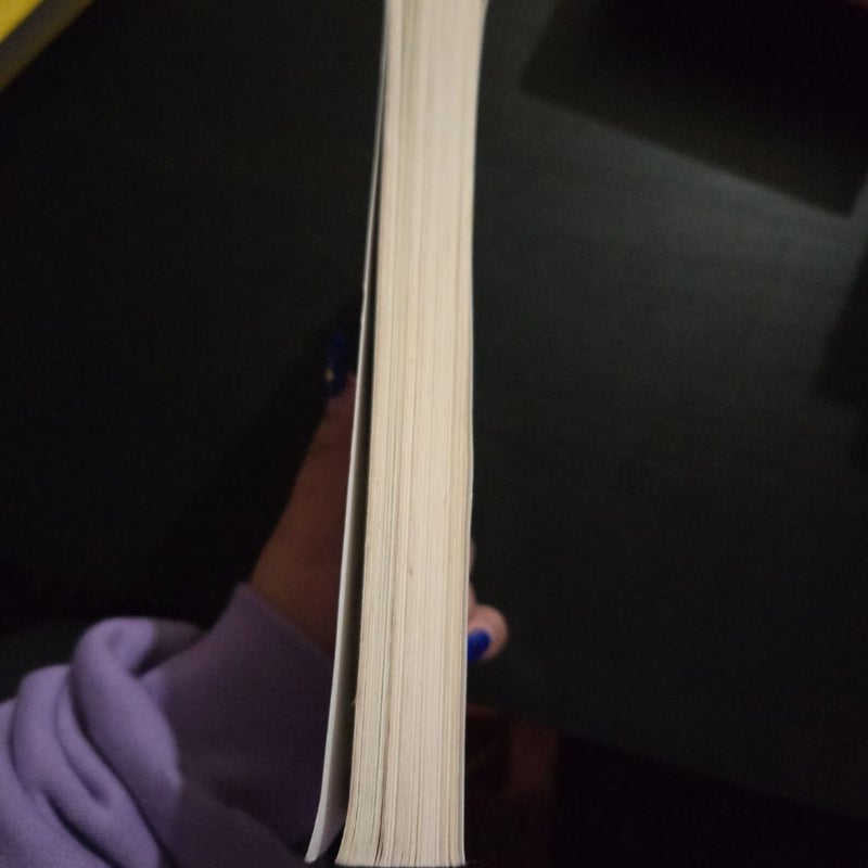 Diary of a Wimpy Kid: The Meltdown (book #13)