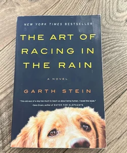 The Art of Racing in the Rain