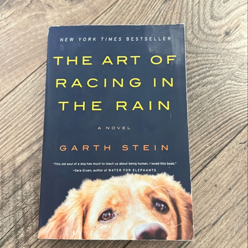 The Art of Racing in the Rain