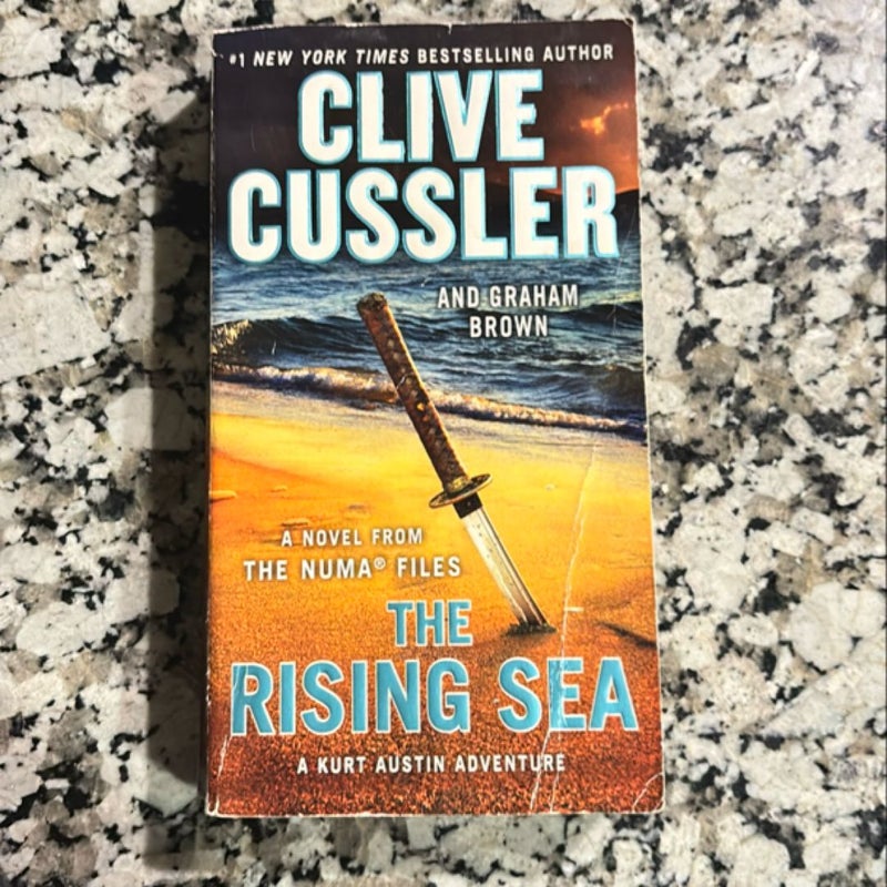 The Rising Sea