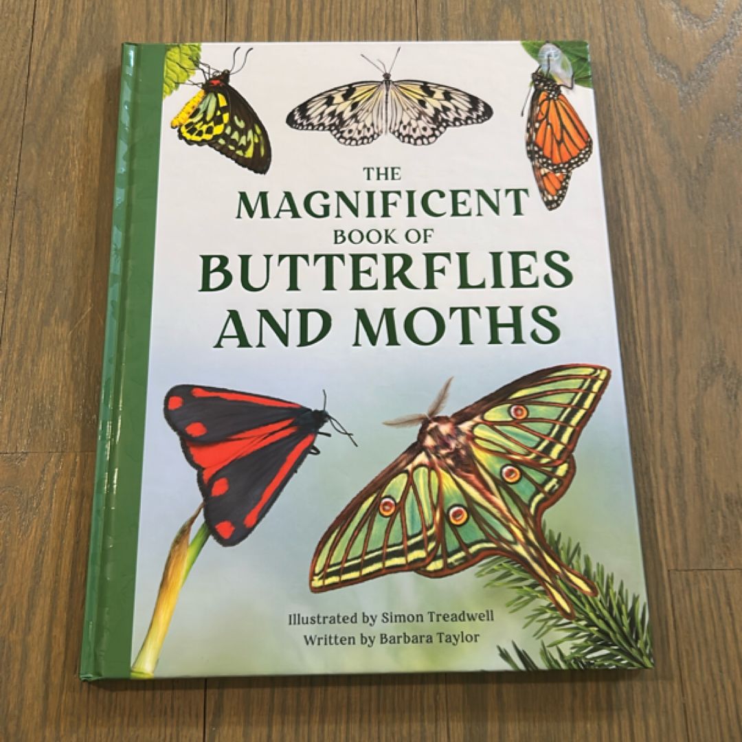 The Magnificent Book of Butterflies and Moths