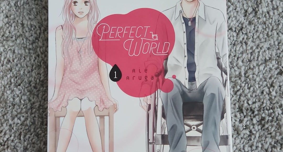 Perfect World 1: Aruga, Rie: 9781632368119: : Books