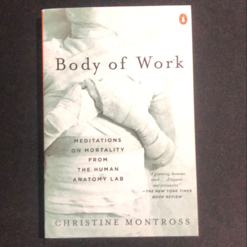 Body of Work