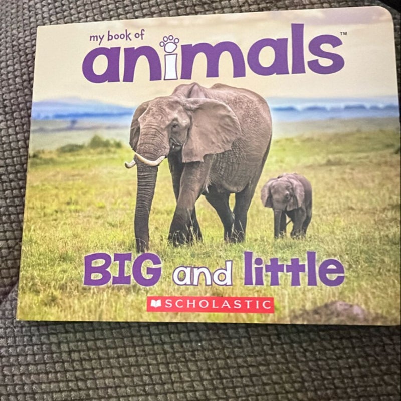 My book of animals 