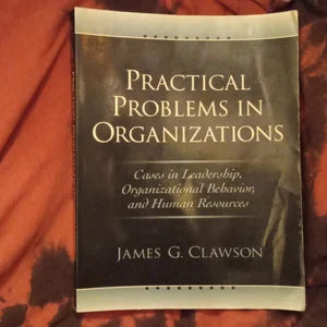 Practical Problems in Organizations