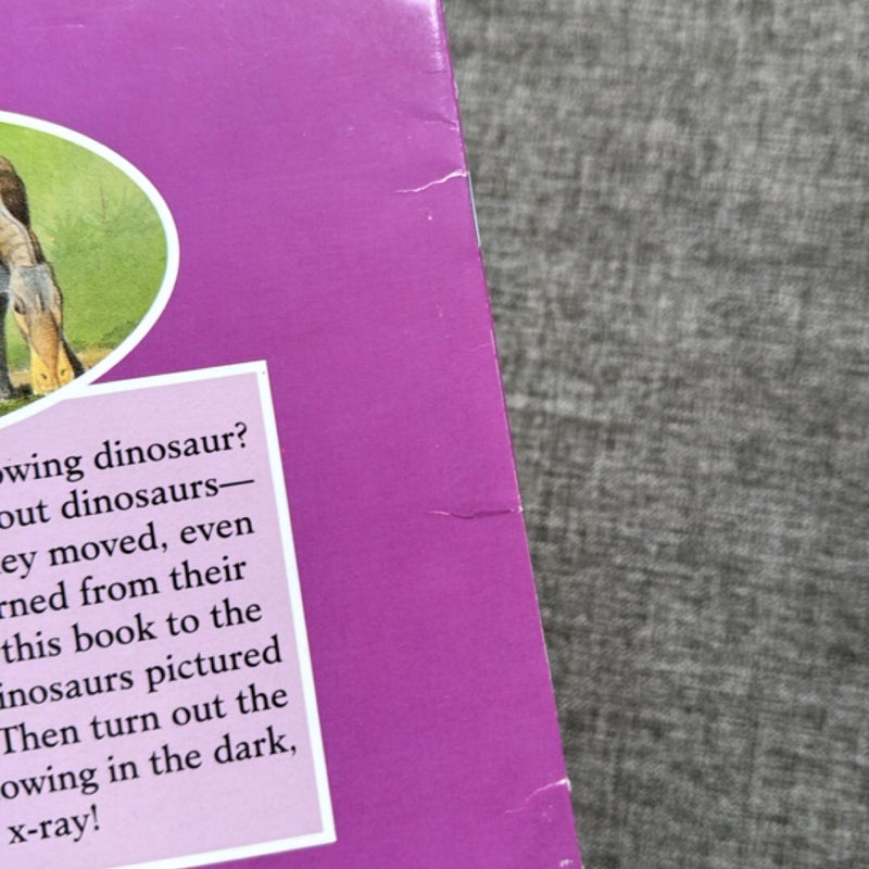 The Glow-in-the-Dark Dinosaur Skeletons