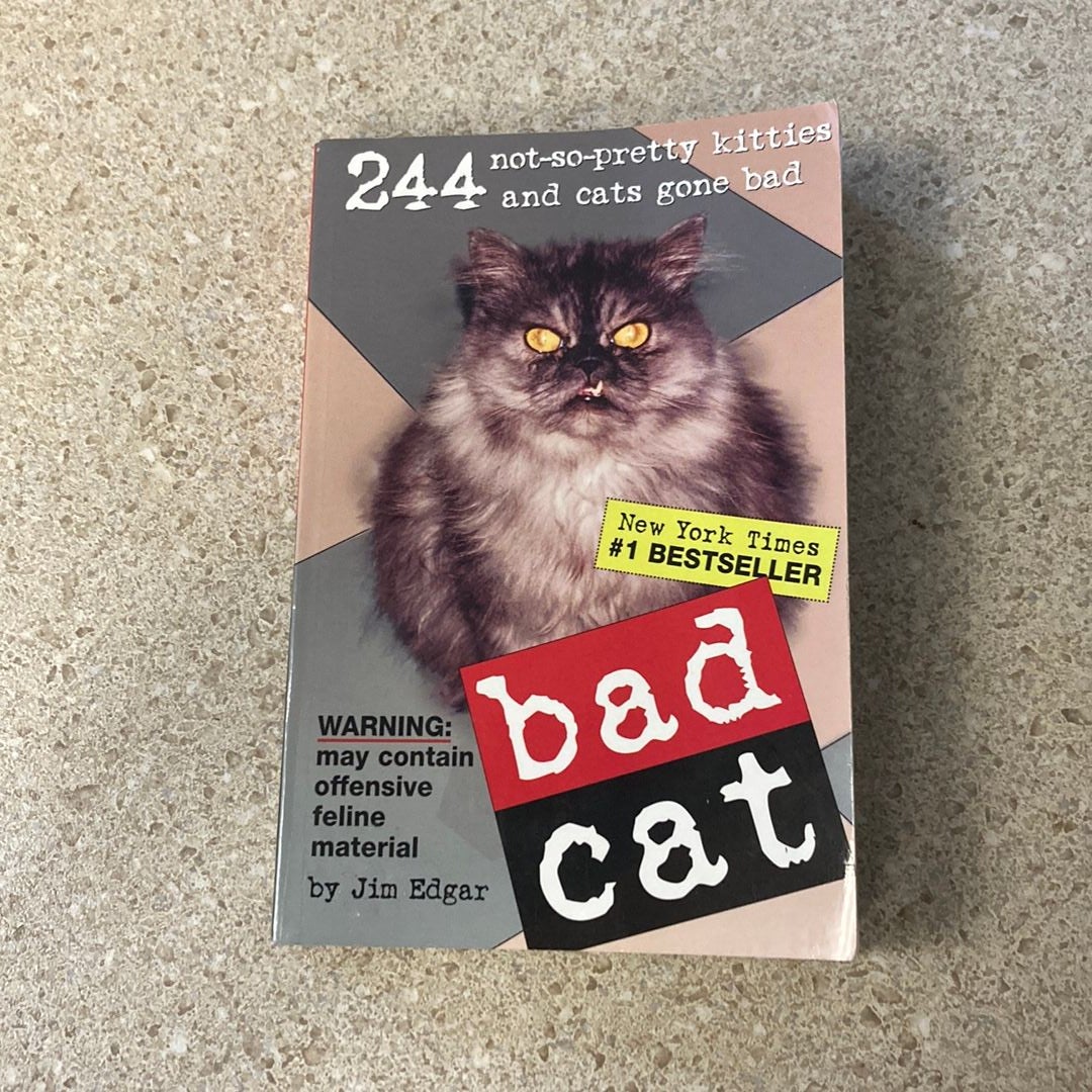 Bad Cat  MercadoLivre 📦