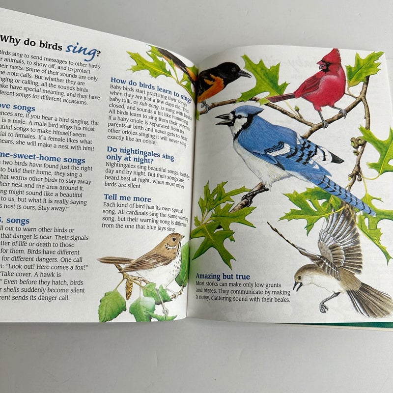 I Wonder How Parrots Can Talk