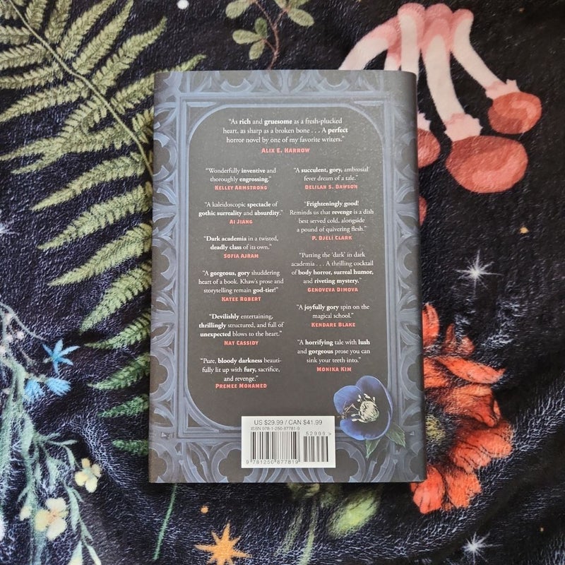 The Library at Hellebore