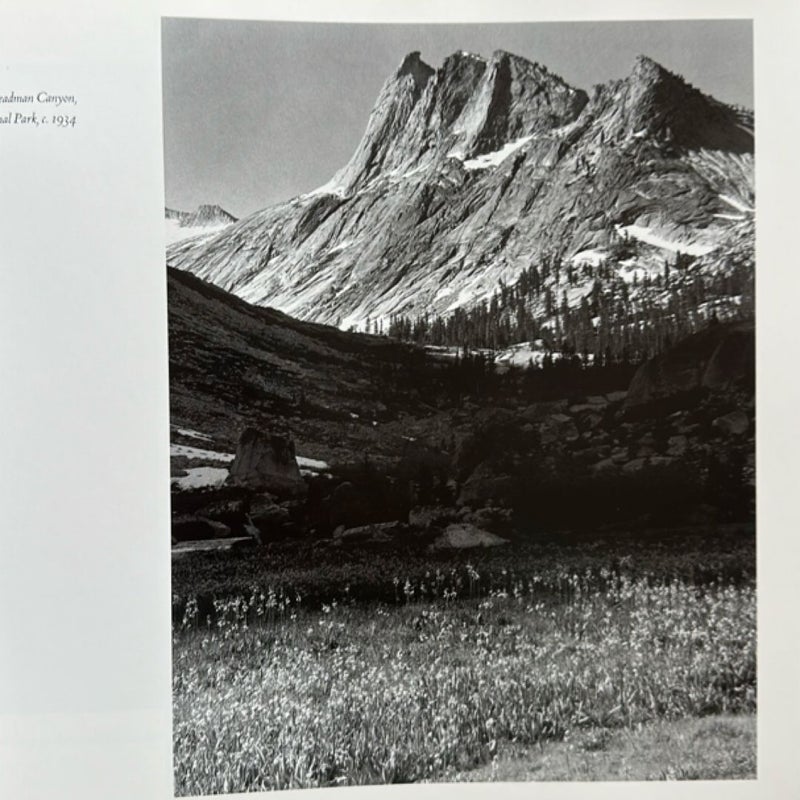 Yosemite and the High Sierra
