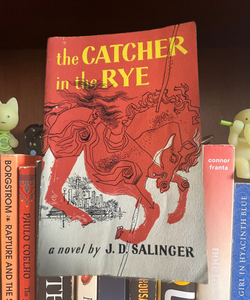 The Catcher in the Rye