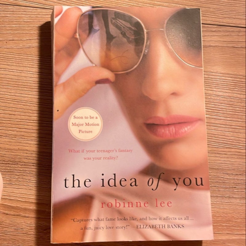 The Idea of You