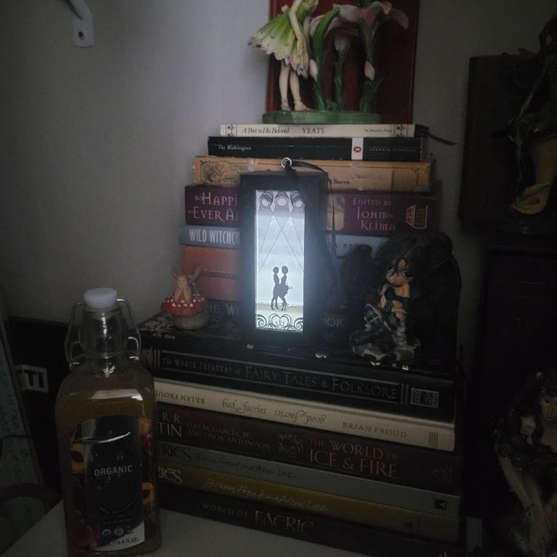 Reading Portal SJM Light Box 