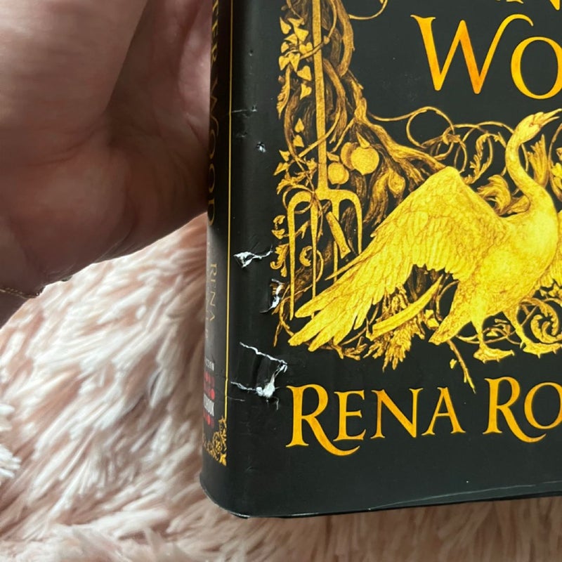 The Sisters of the Winter Wood
