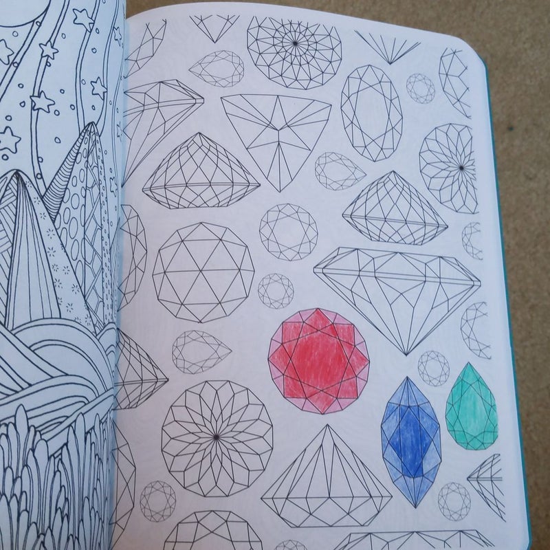 Posh Adult Coloring Book Soothing Designs for Fun and Relaxation by