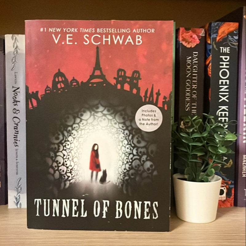 Tunnel of Bones (City of Ghosts #2)