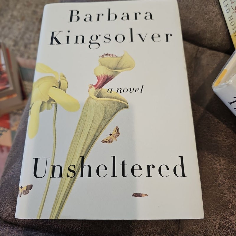 Unsheltered 