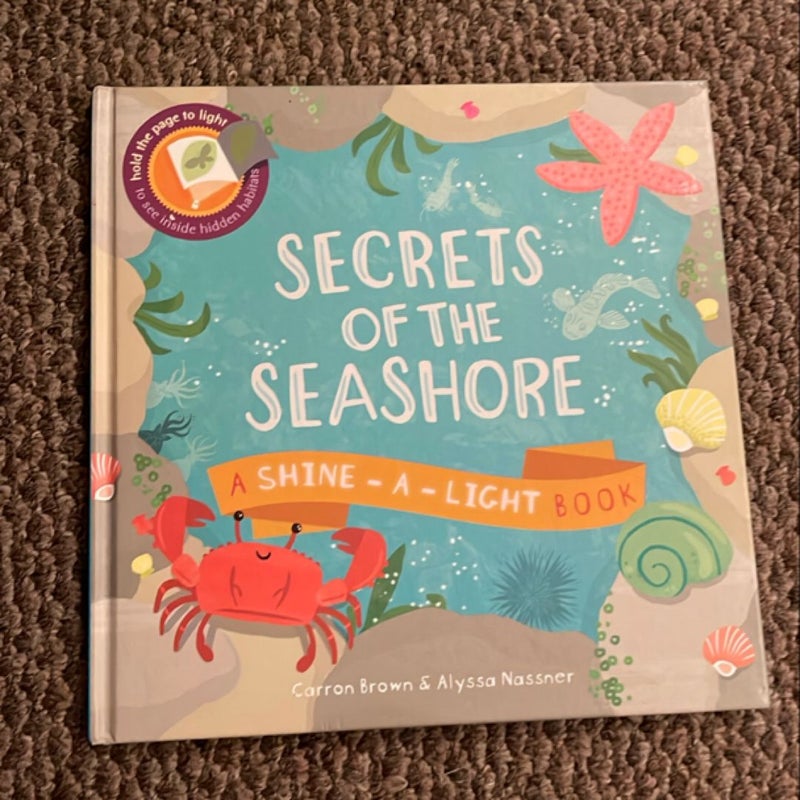 Secrets of the Seashore