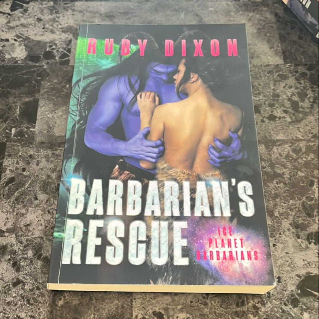 Barbarian's Rescue