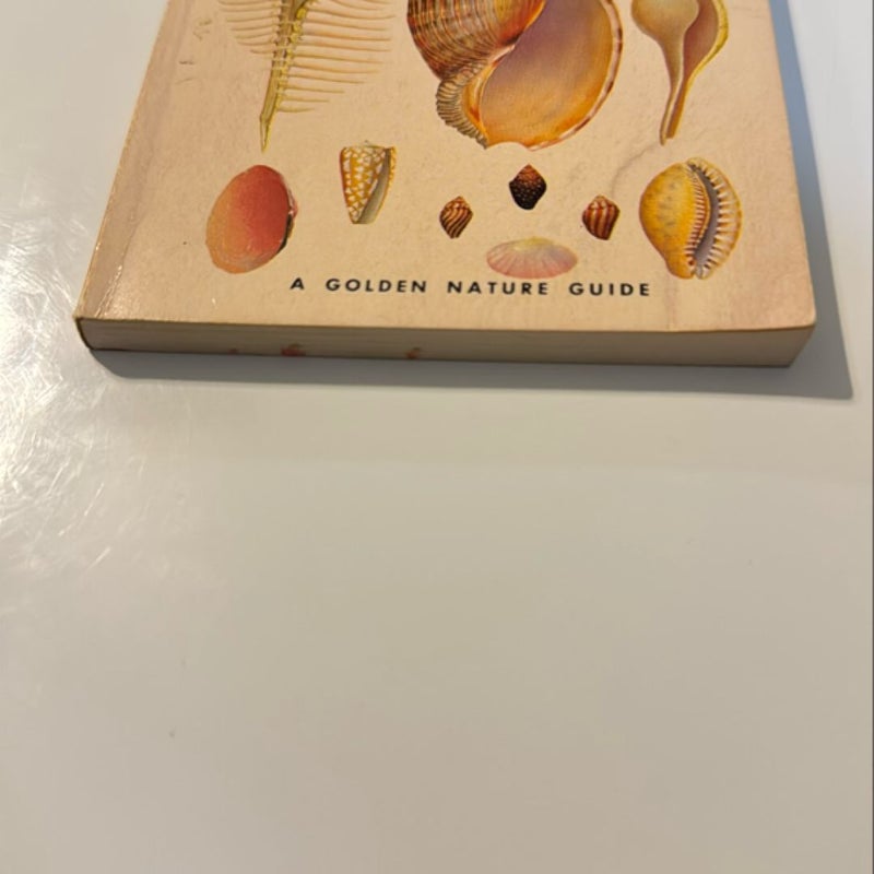 Seashells of the world