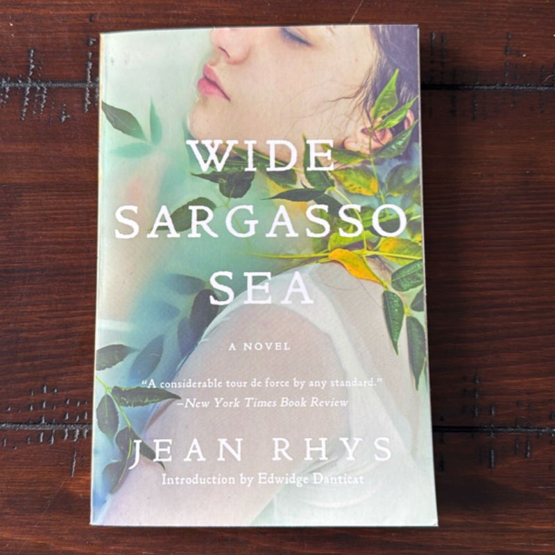 Wide Sargasso Sea