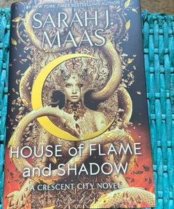 House of flame and shadow 