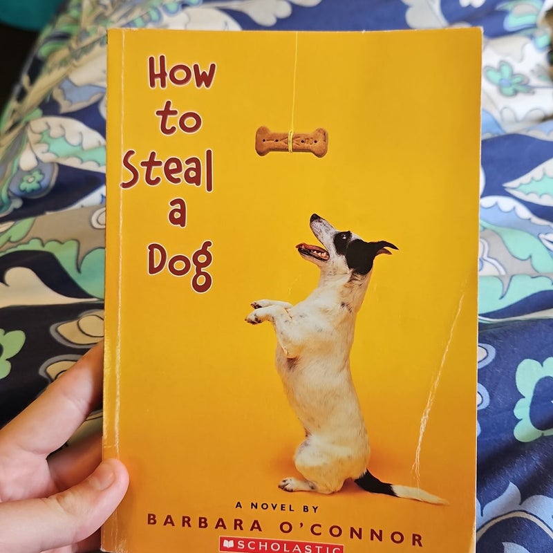 How to steal a dog