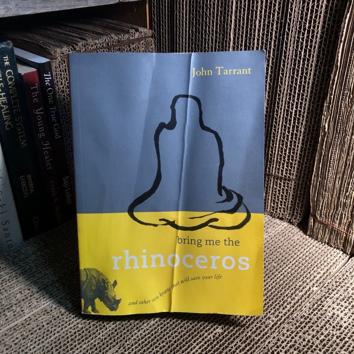 Bring Me the Rhinoceros by John Tarrant