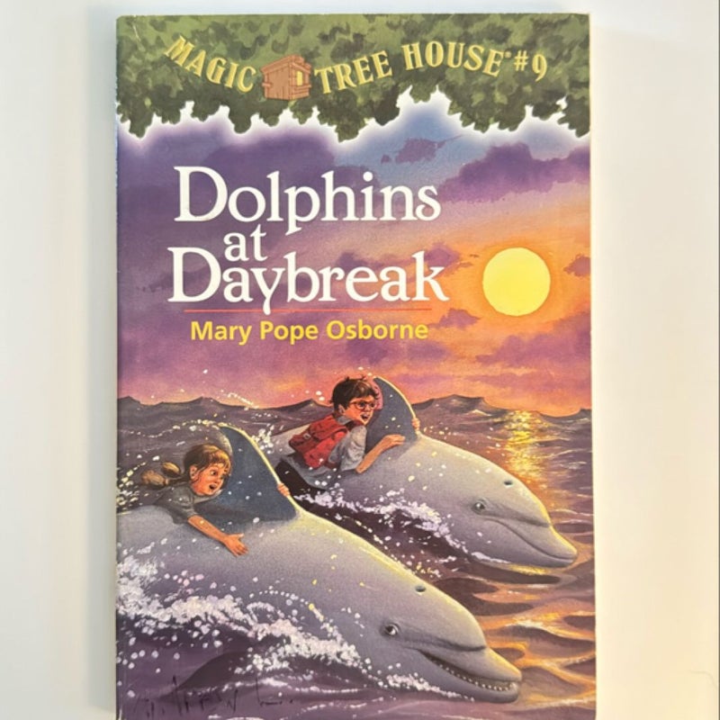 Dolphins at Daybreak