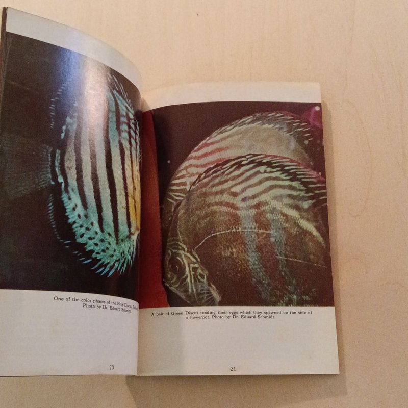 Discus in Color by , Paperback | Pangobooks