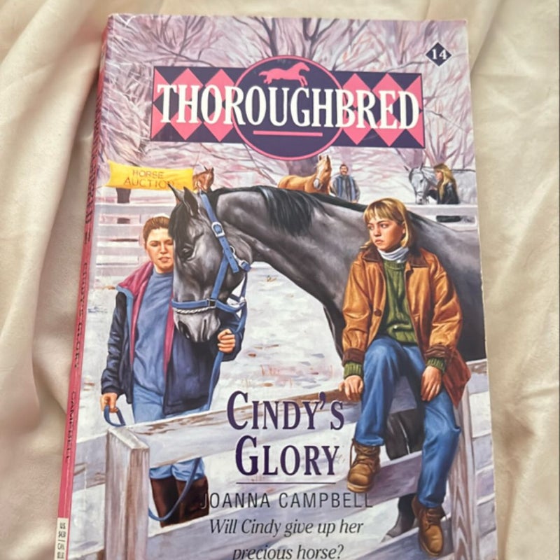 Thoroughbred #14 Cindy's Glory