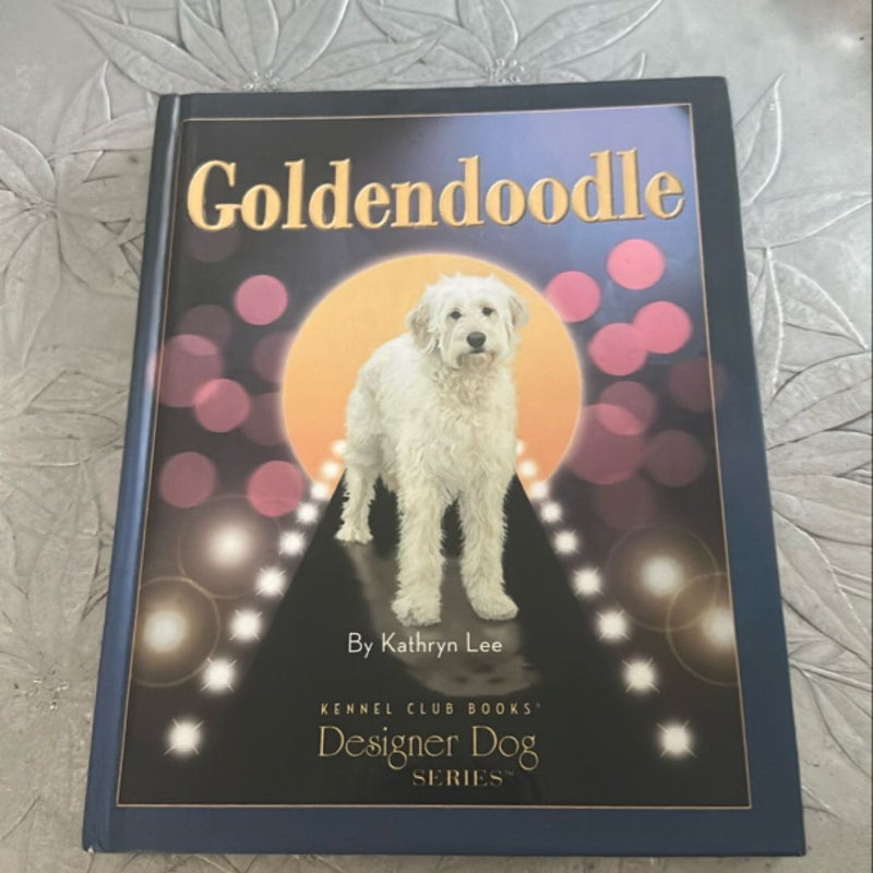 Goldendoodle