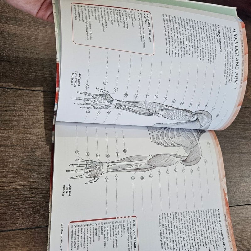 The Human Body Coloring Book