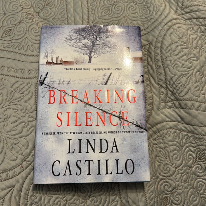 Breaking Silence