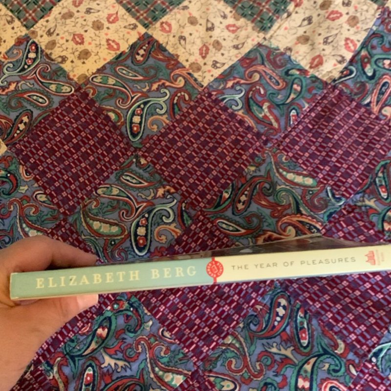 The Year of Pleasures