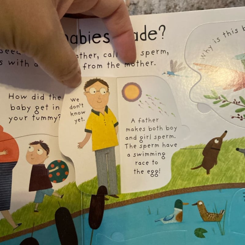 Lift-The-Flap First Questions and Answers Where Do Babies Come From?