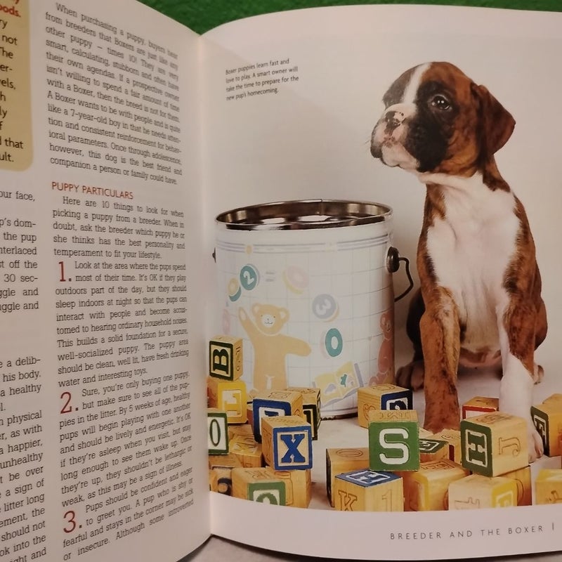 Boxer + 2 DVDs